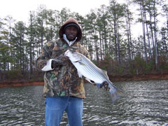 Lake Allatoona Fishing Guide