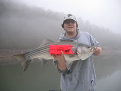 Lake Allatoona Fishing Guide