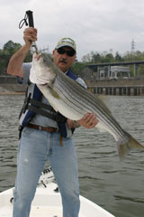 Lake Allatoona Fishing Guide