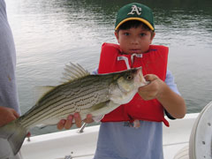 Lake Allatoona Fishing Guide