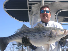 Lake Allatoona Fishing Guide