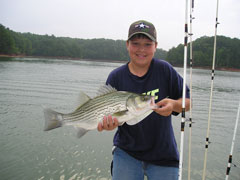 Lake Allatoona Fishing Guide