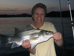 Lake Allatoona Fishing Guide