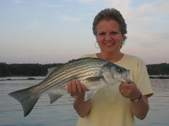 Lake Allatoona Fishing Guide