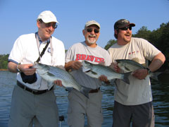 Lake Allatoona Fishing Guide