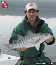 Picking Pockets For Lake Allatoona April Bass - Georgia Outdoor News